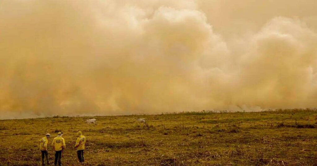 Entenda como IA ajuda no combate a incêndios na 'região intocável' do Pantanal