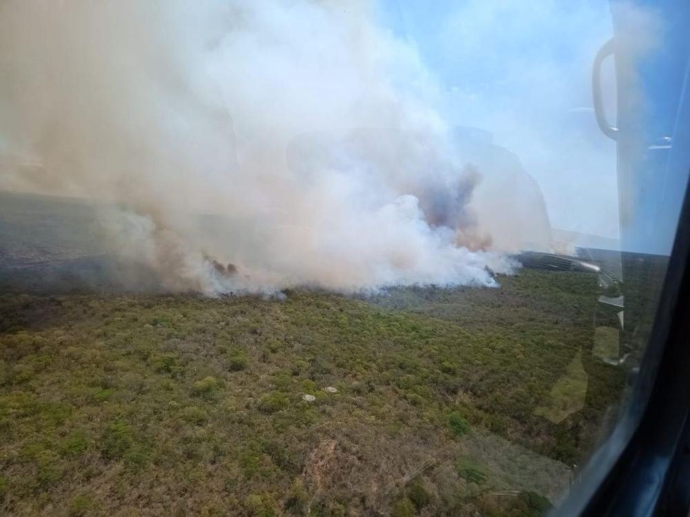 Inteligência Artificial antecipa cenários e faz previsão de onde ocorrerá incêndios no Piauí