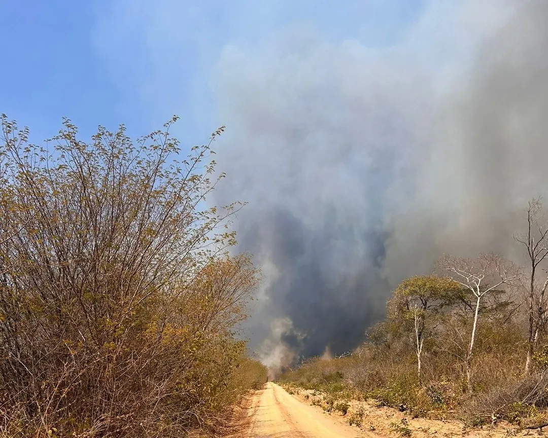 Inteligência Artificial antecipa cenários e faz previsão de onde ocorrerá incêndios no Piauí