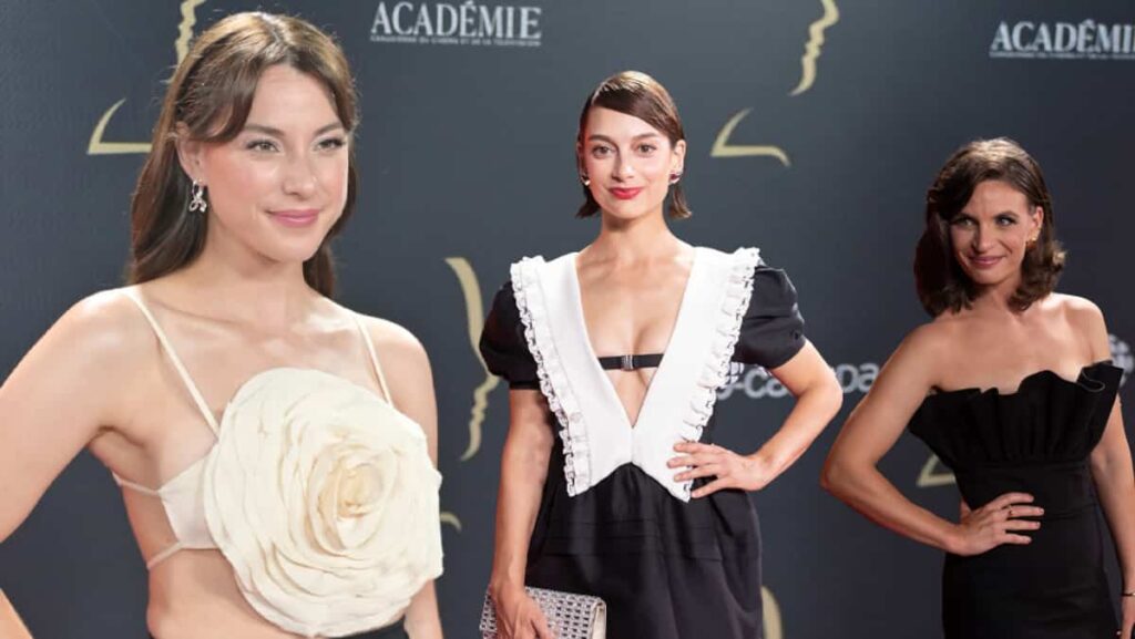 [QUIZ] Which aspect of the Gemini 2024 party does this unpleasant comment refer to?