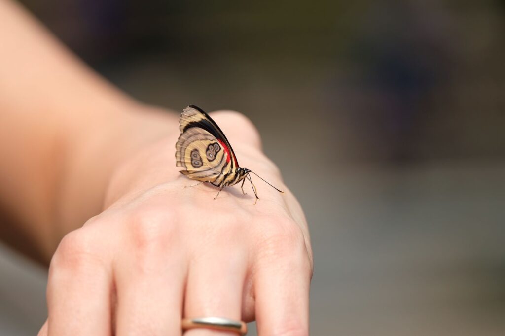 Acredite se quiser: o ChatGPT vai ser sua melhor companhia para turismo e viagens