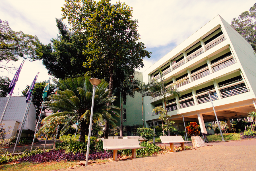 Centro de Inteligência Artificial Recriando Ambientes abre duas vagas de pós-doutorado