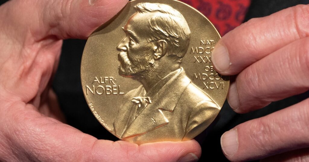 Dobradinha da inteligência artificial no Nobel de Física e de Química é sinal de uma nova era