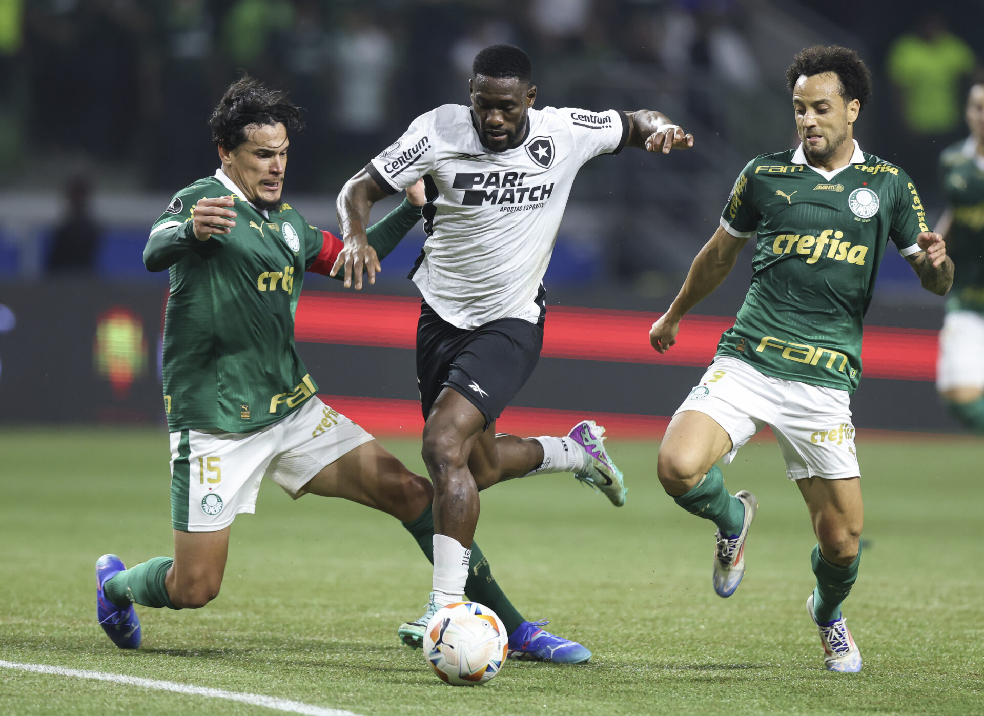 Palmeiras x Botafogo: inteligência artificial prevê resultado surpreendente em jogo decisivo do Brasileirão