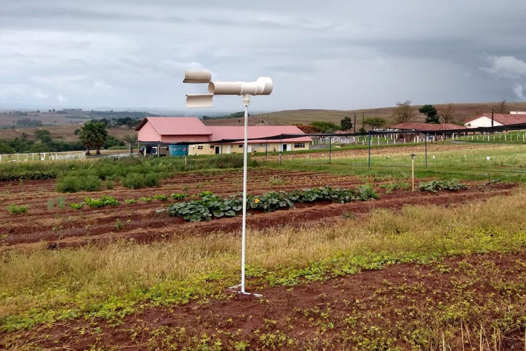 Pesquisadores do Paraná usam Inteligência Artificial para combate da ferrugem da soja – O Presente Rural