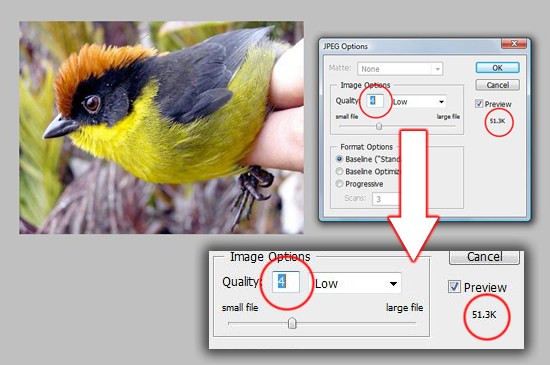 0205 12 salvar como jpeg baixo