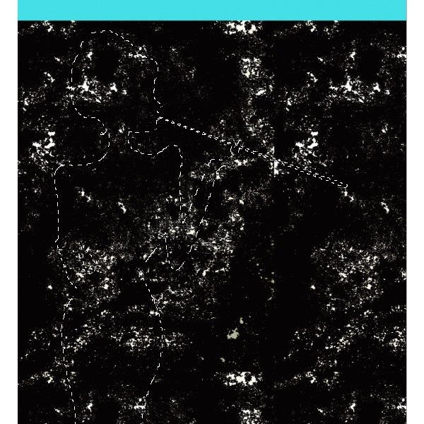 Aplicar a textura à silhueta