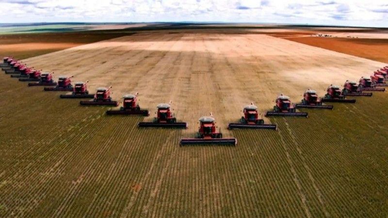 A inteligência artificial impulsiona o agronegócio