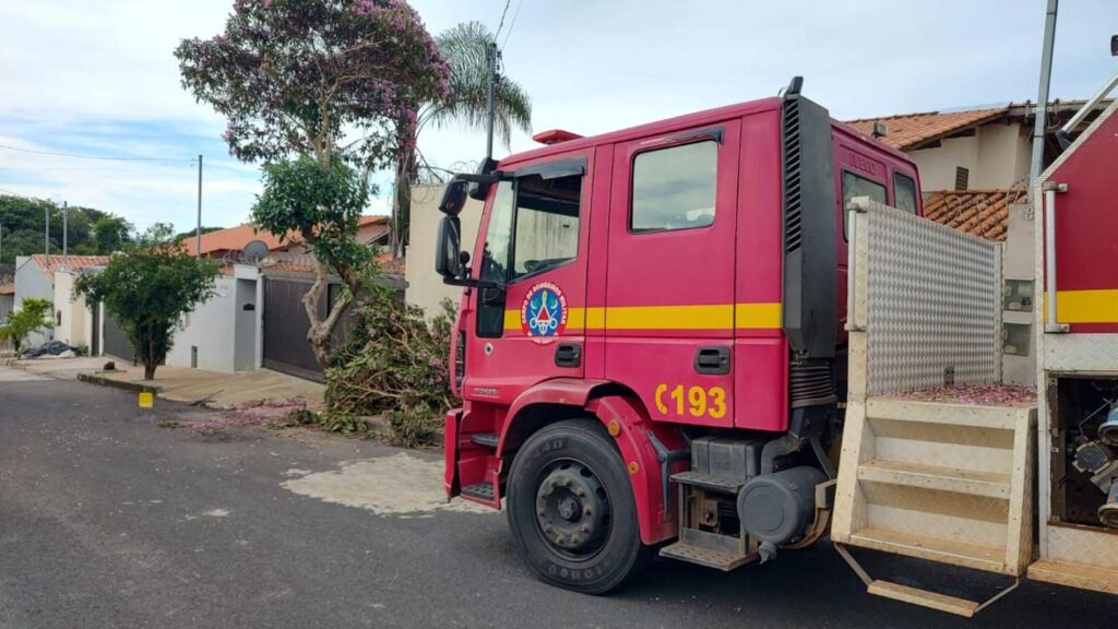 Consequências do temporal: Bombeiros são mobilizados para corte em árvore 