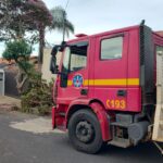 Consequências do temporal: Bombeiros são mobilizados para corte em árvore 