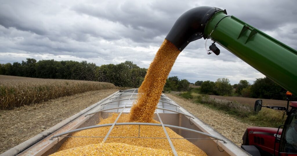 Inteligência artificial no plantio é aposta da Bayer para ampliar produtividade