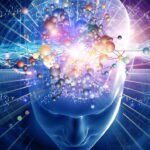 Você consegue diferenciar o real do falso? - Estado de Minas