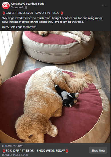 vendas de anúncios de mídia social