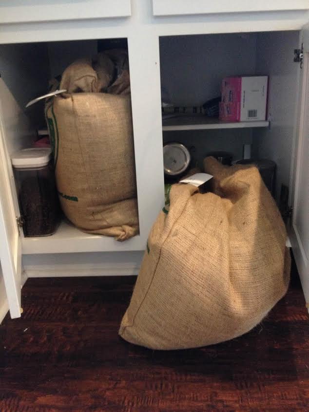 Webfx-Coffee-Bean-Consumo