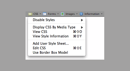 Desenvolvedor da Web