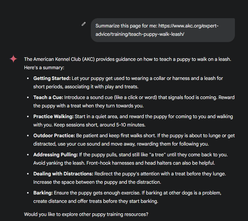 Resumo Google Gemini