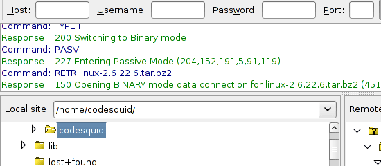 FILEZILLA - Tiro de tela.
