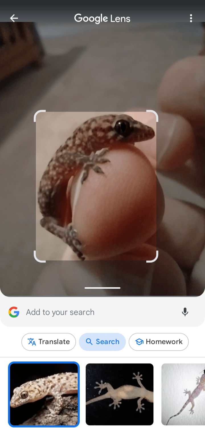 Passo a passo 6 do Google Lens 6