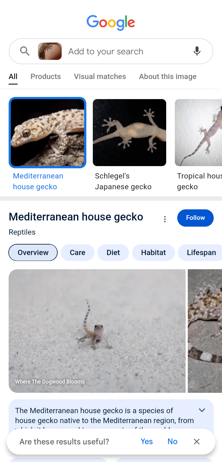 Passo a passo 7 do Google Lens 7