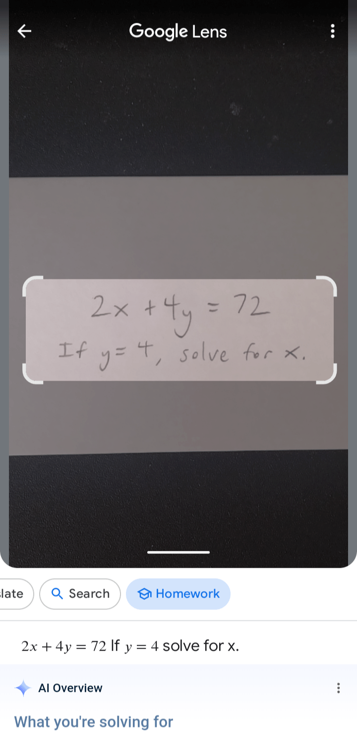 Passo a passo do Google Lens 8