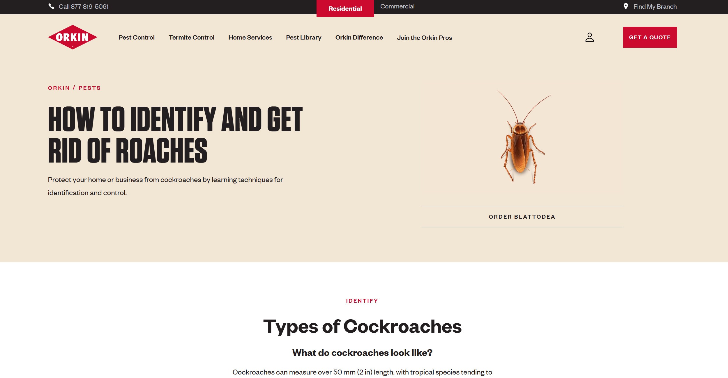 Marketing de conteúdo para empresas de controle de pragas