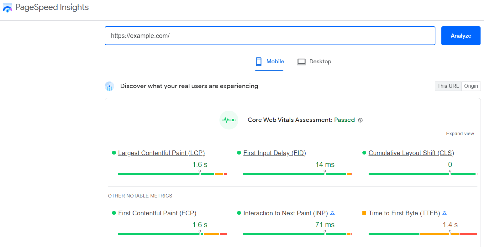 Google PageSpeed ​​Insights Screenshot