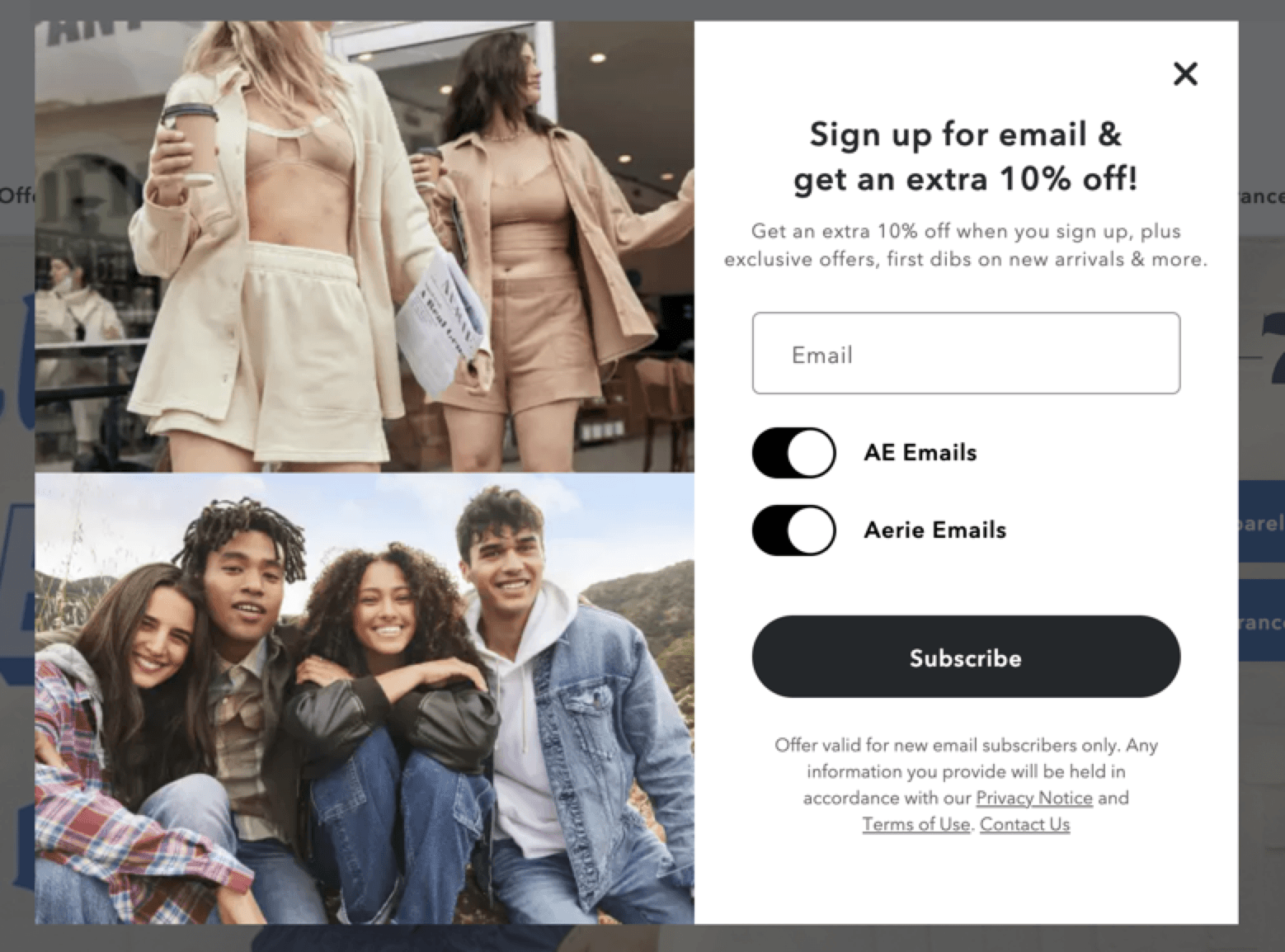 Captura de tela do formulário de envio de e -mail da Aerie
