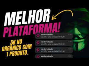 Descubra a plataforma secreta que te possibilita ganhar +5K em menos de 1 mês! Conheça o PUSHIN PAY – A melhor plataforma para vender Low e aumentar sua renda 💸👨🏾‍💻