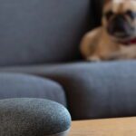 A aposta mais ousada do Google para casas inteligentes