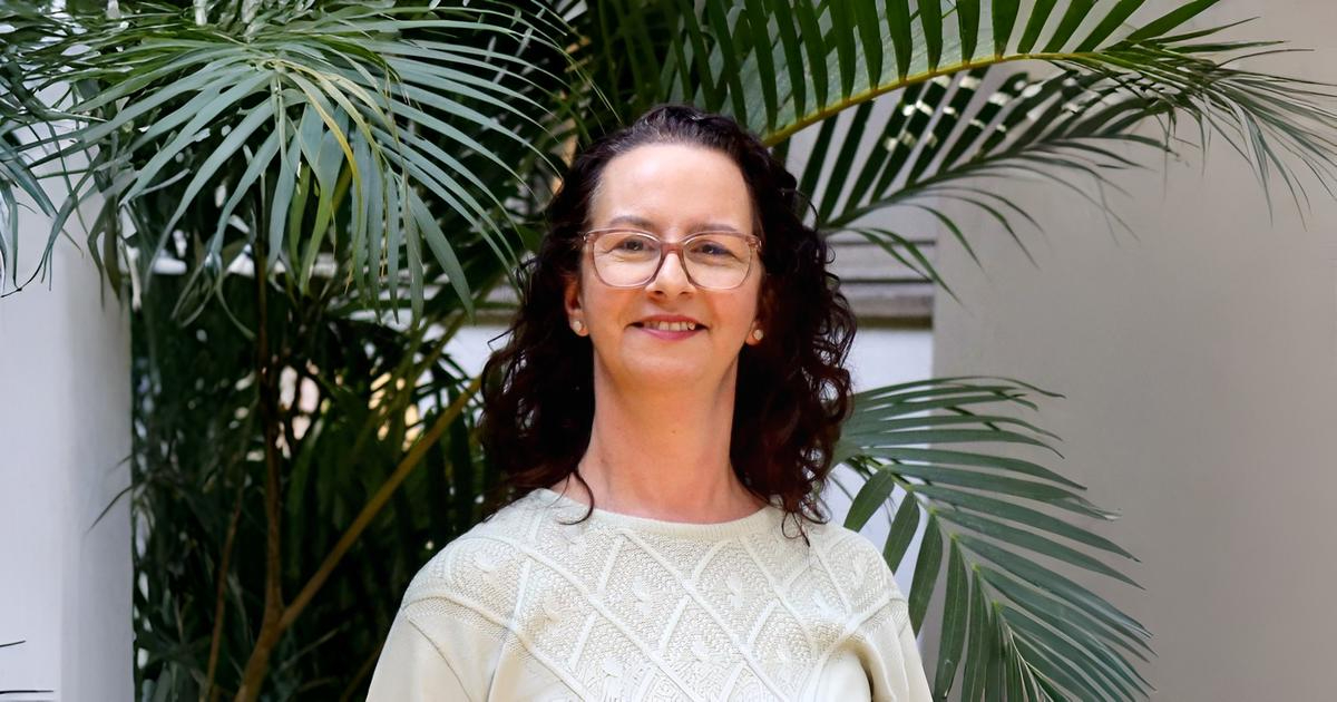 Chat GPT ou pesquisa no Google? Informações para uma escolha consciente – Jornal da USP