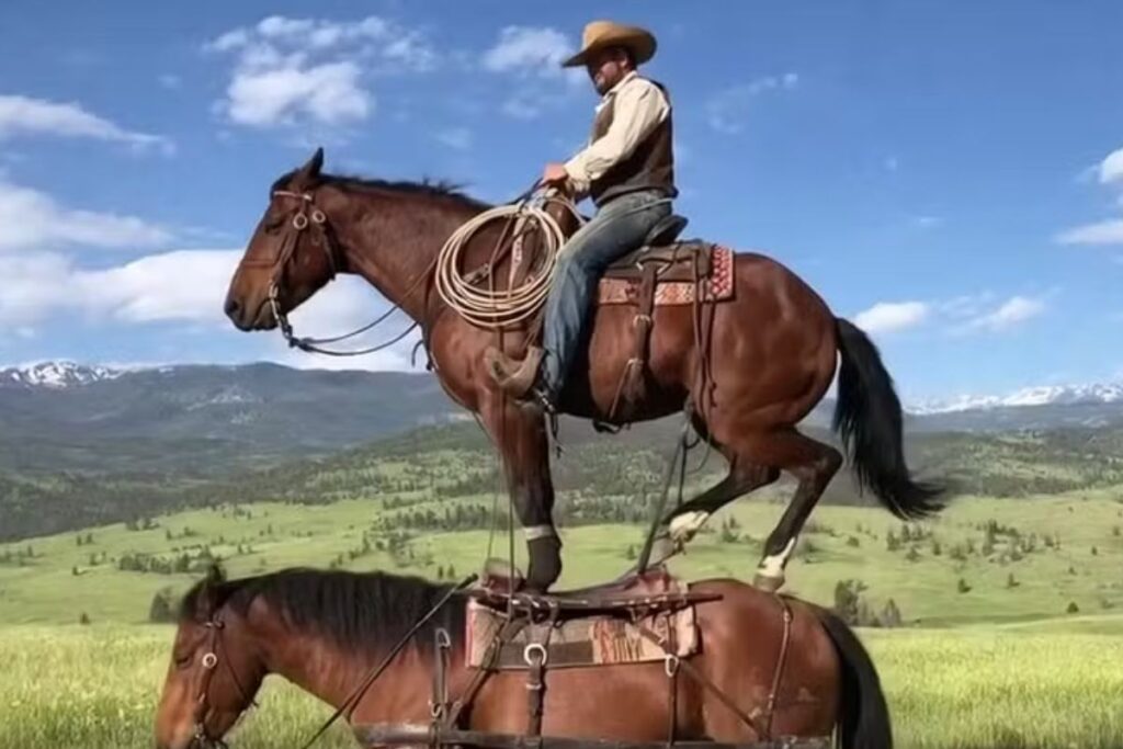 como funciona a rede social da OpenAI que promete rivalizar com o TikTok