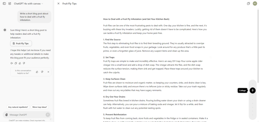 Exemplo de tela chatgpt, etapa 2