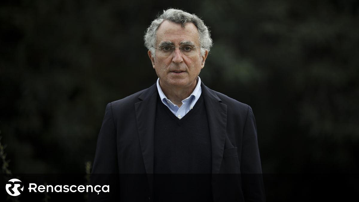 A Anacom e a regulação da inteligência artificial