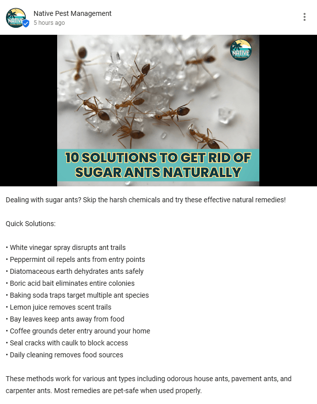 exemplo 5 de libras esterlinas