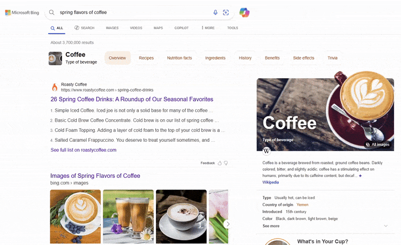 GIF animado de uma pesquisa do Microsoft Bing por 