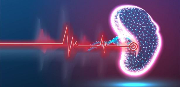 Pós-doutorado em inteligência artificial na USP de São Carlos