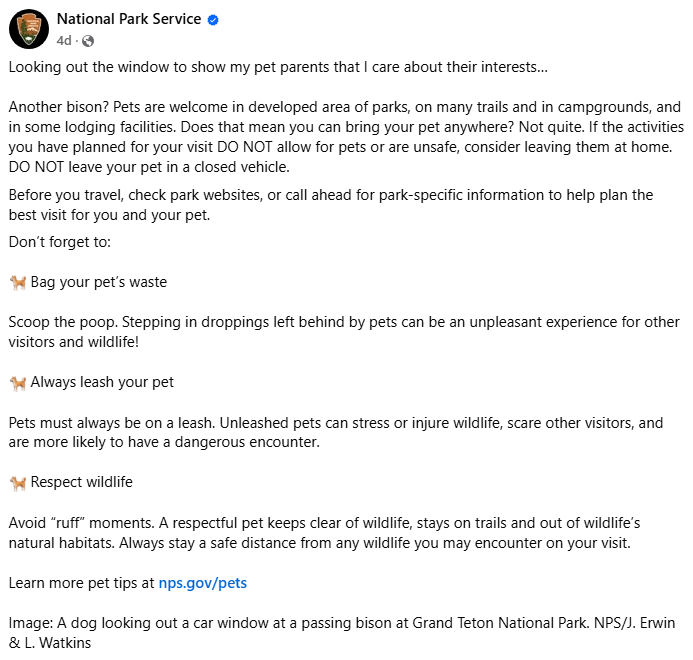 conteúdo salvável nps