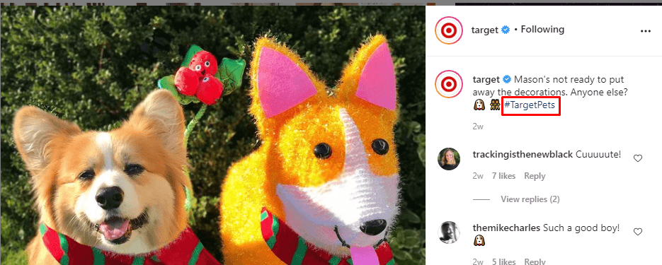 Target usando #TargetPets em sua postagem nas redes sociais