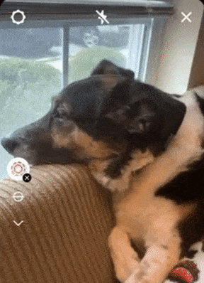 Exemplo de multicaptura no Instagram