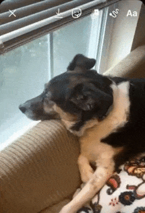 Exemplo de recurso de cabine fotográfica no Instagram 