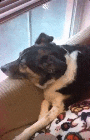 Recurso Superzoom no Instagram