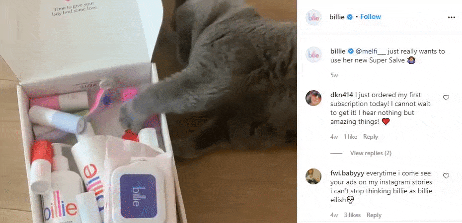 Gato brincando com uma caixa Billie