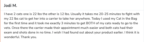 Depoimento de uma empresa de bolsas para gatos