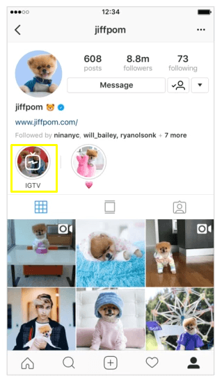 Como acessar o IGTV pelo perfil de um influenciador