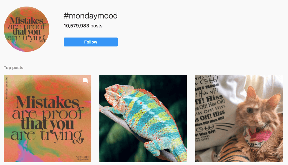 Imagens que aparecem quando alguém pesquisa #mondaymood