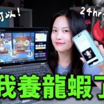blog